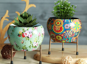 Flower Pots