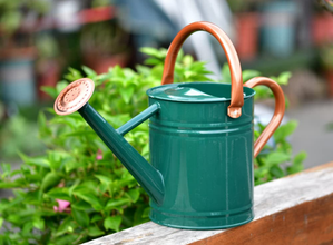 Watering Cans