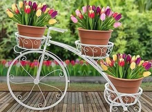 Plant Stands