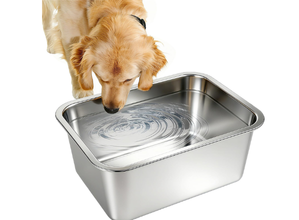 Pet Water Bowls